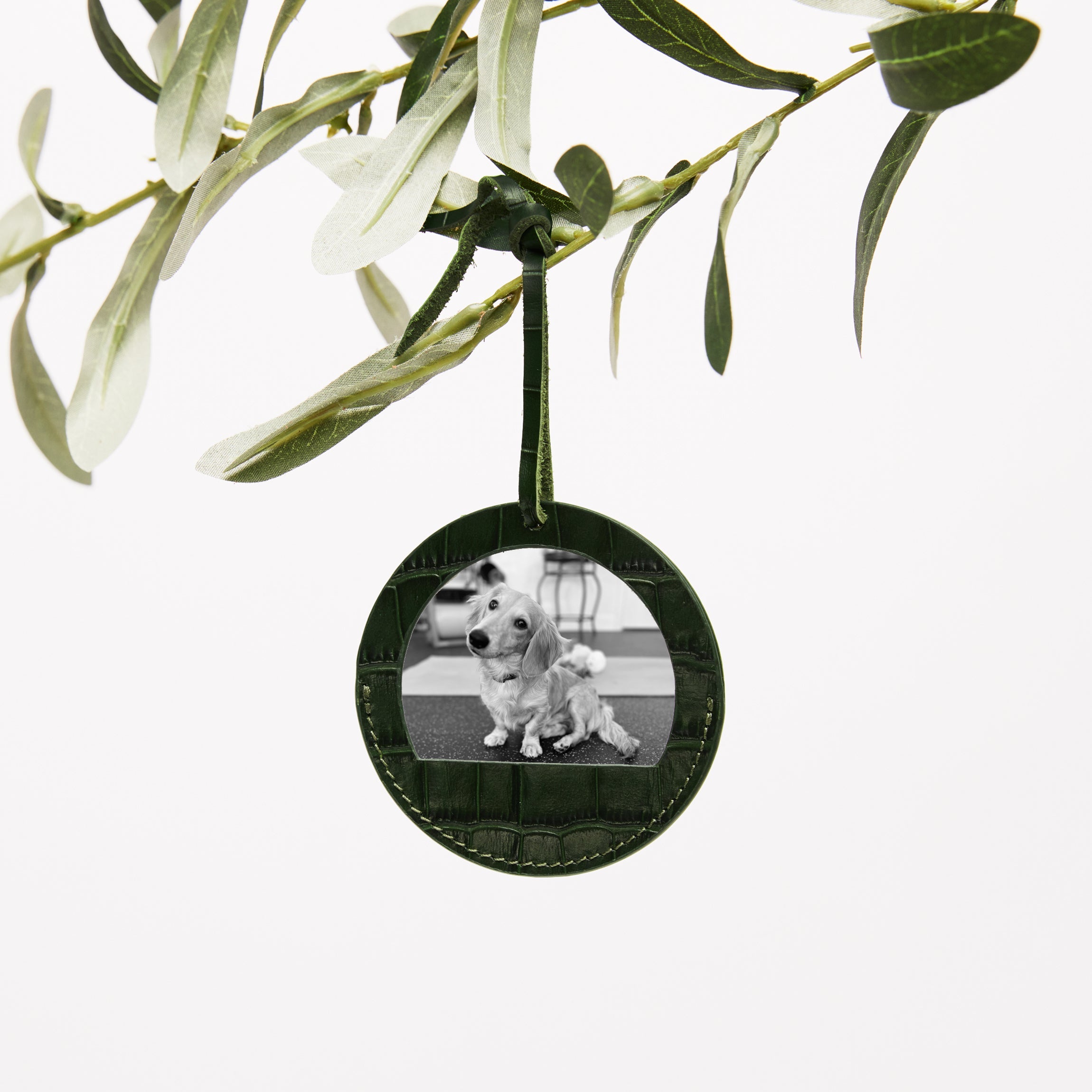 Round Photo Frame Ornament Forest Croc