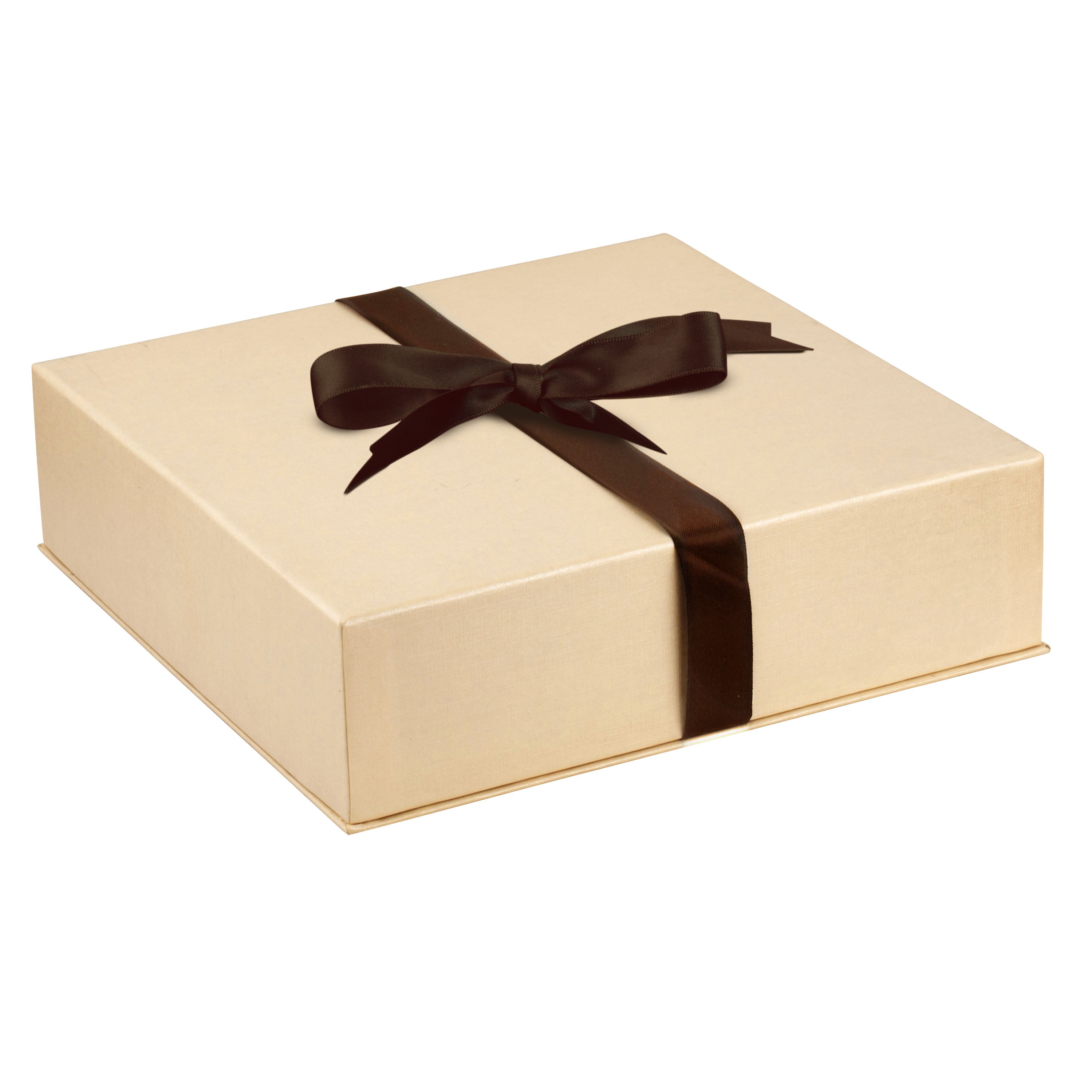 Suede Large Set Box with Matching Interior with Ribboned Packer