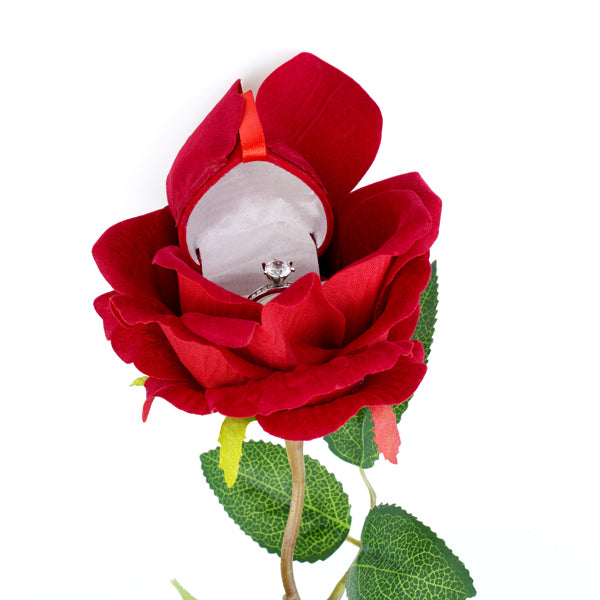 The Noble Rose Red Ring Box