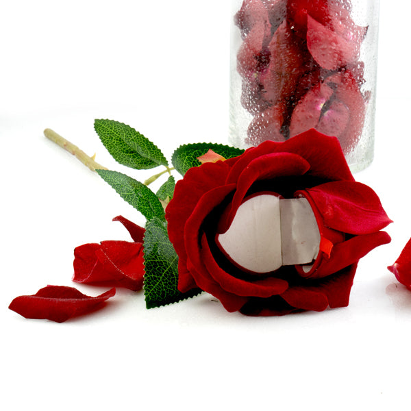 The Noble Rose Red Ring Box