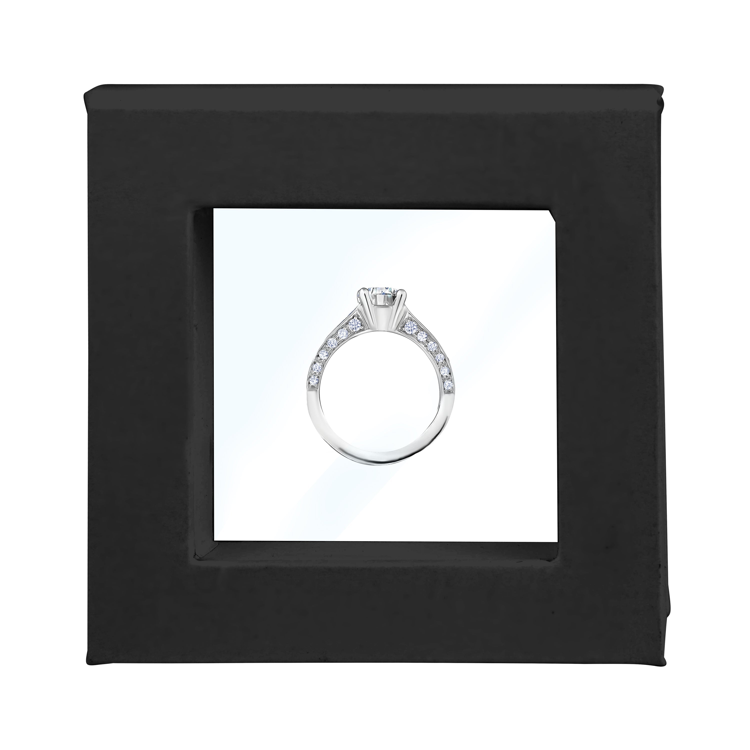 Matte Paper Single Ring Display Box